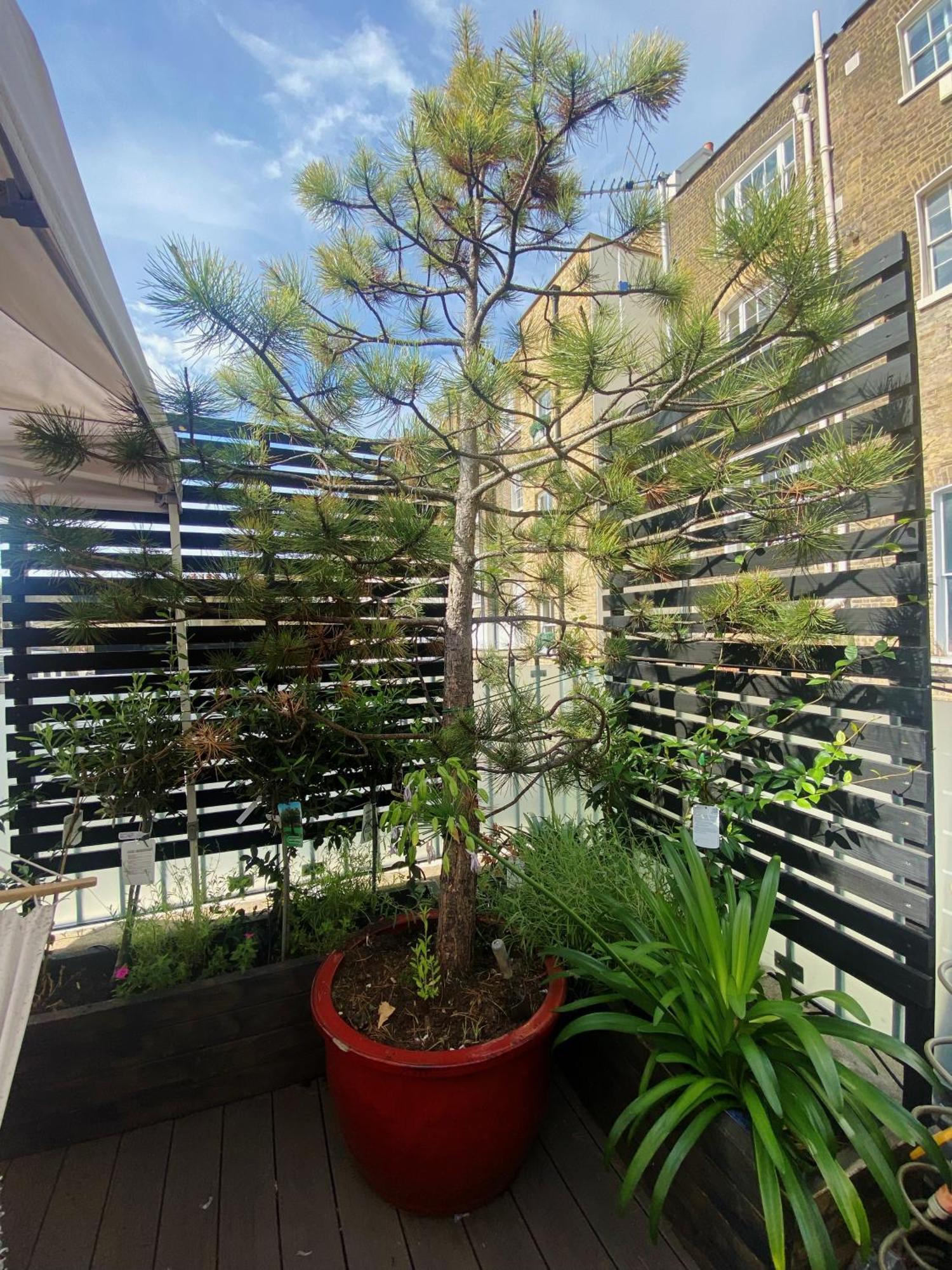 Luxury Belgrave Square Private Mews Townhouse Βίλα Λονδίνο Εξωτερικό φωτογραφία